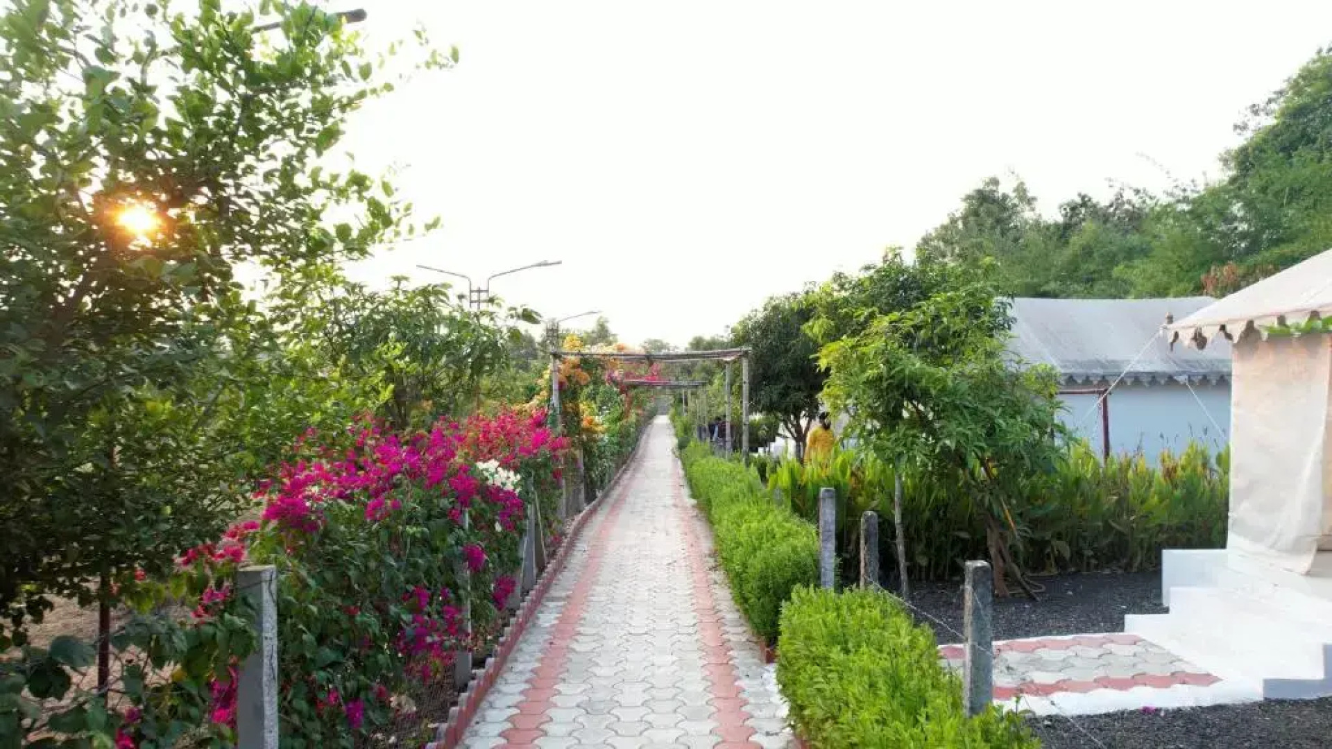 Rewa Hotels & Resorts