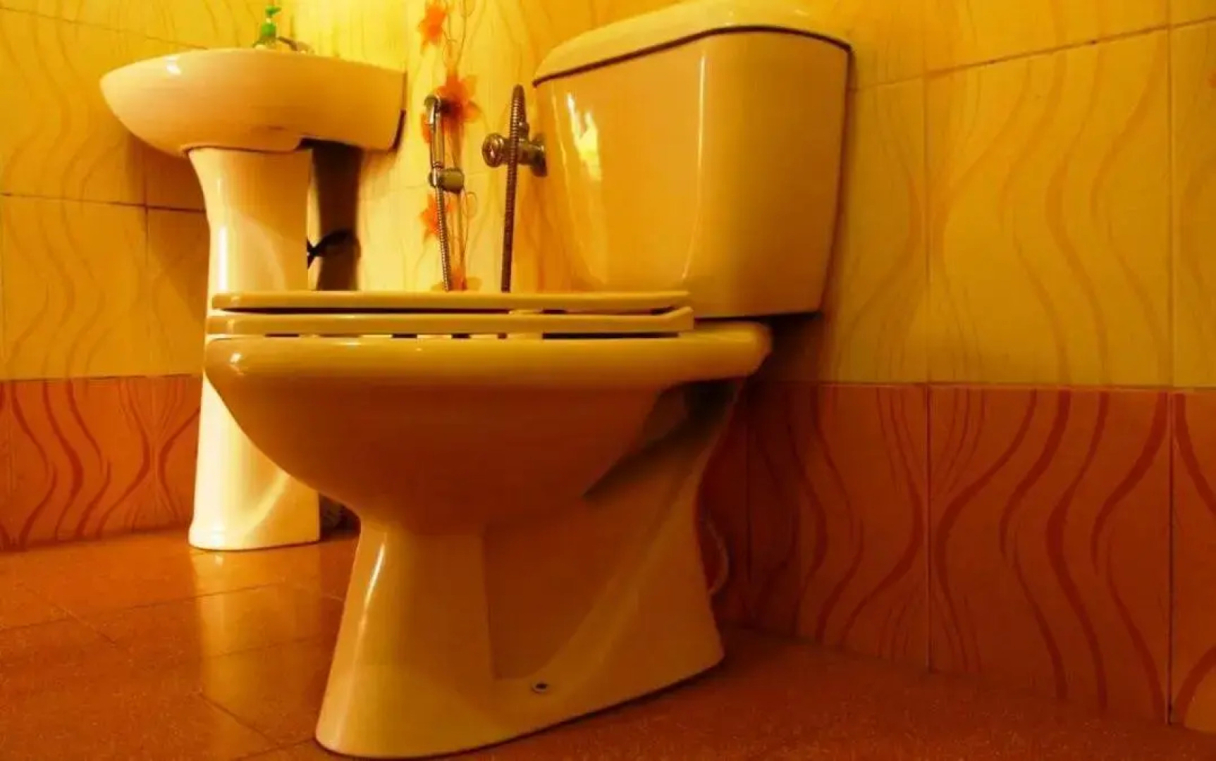 Jungle Retreat Wayanad