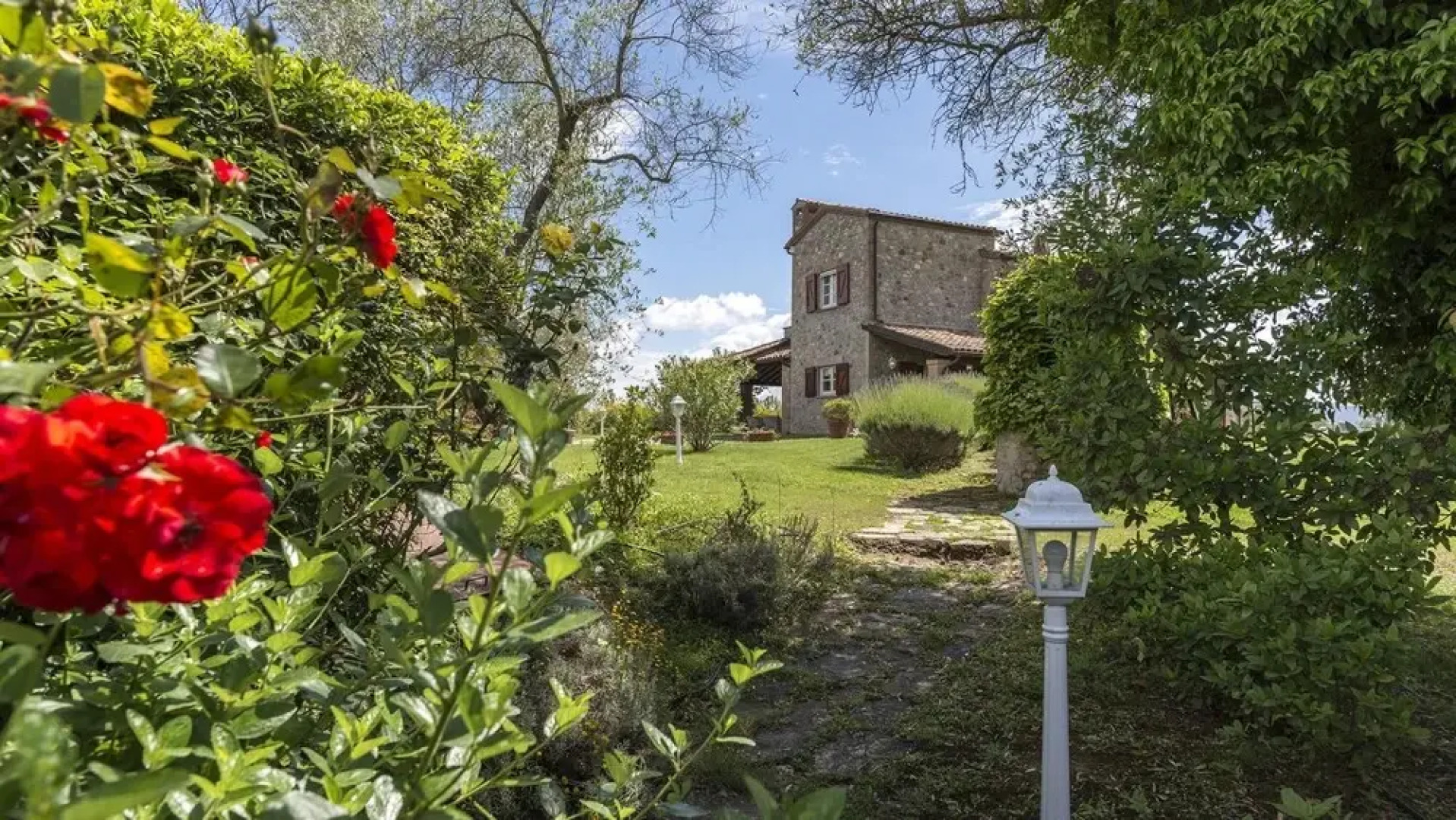 Tr-d570-lpog0at - Poreale 6