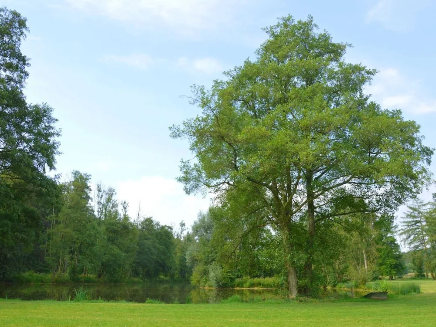 Ardennes Castle Retreat for Groups