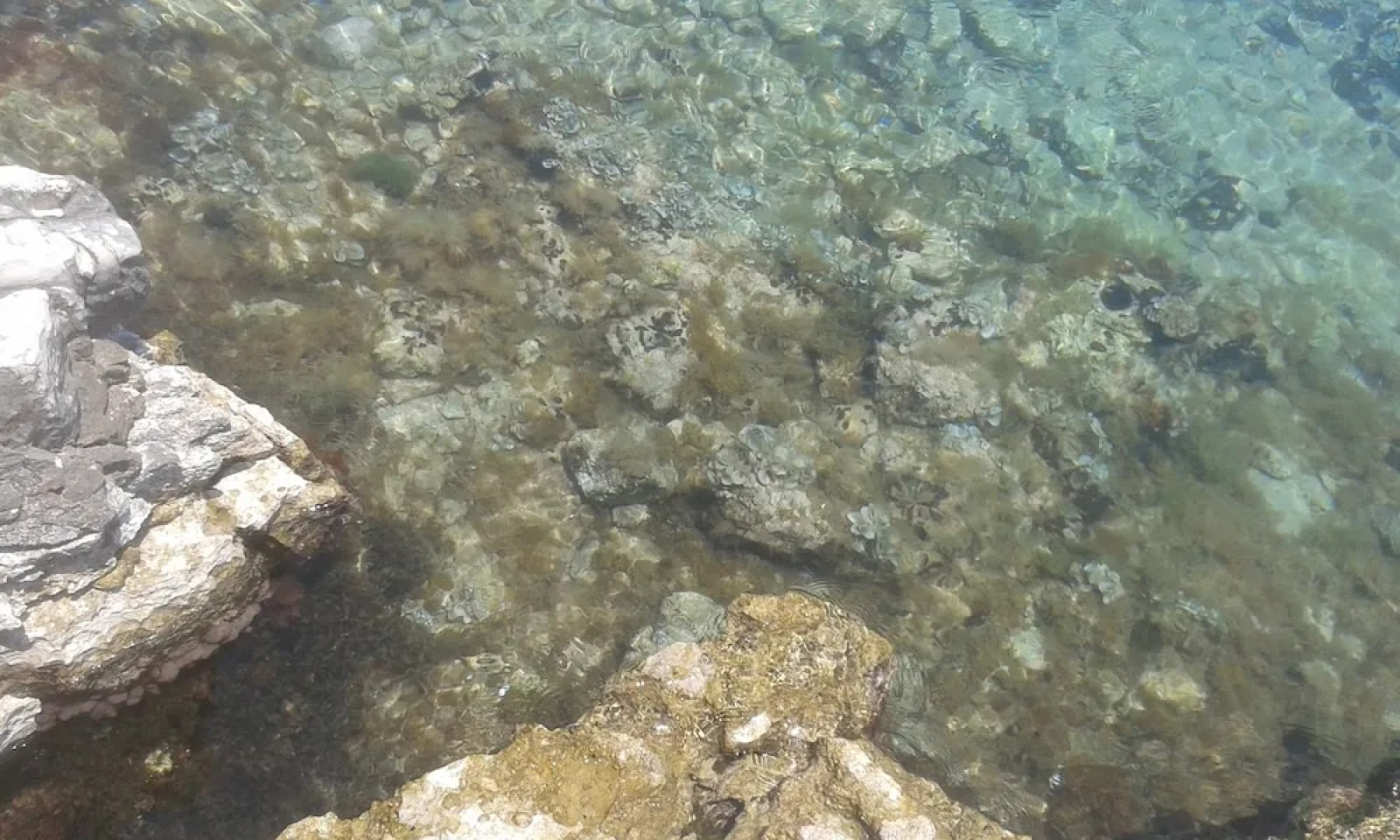 Guest house Villa Blue Marine