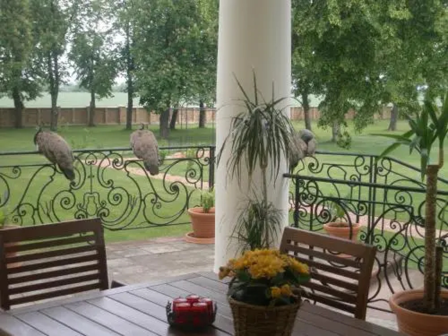 B&B Castle Schulhoff