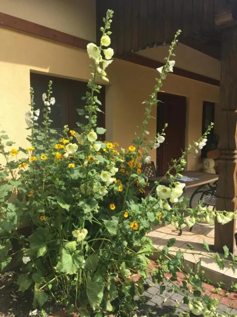 Agroturystyka Pod Podkową