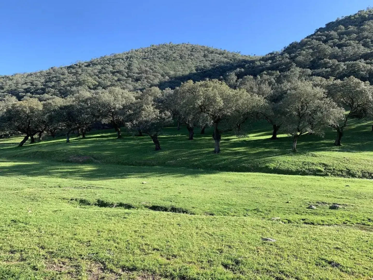 Casa Rural Sierra Tórtola