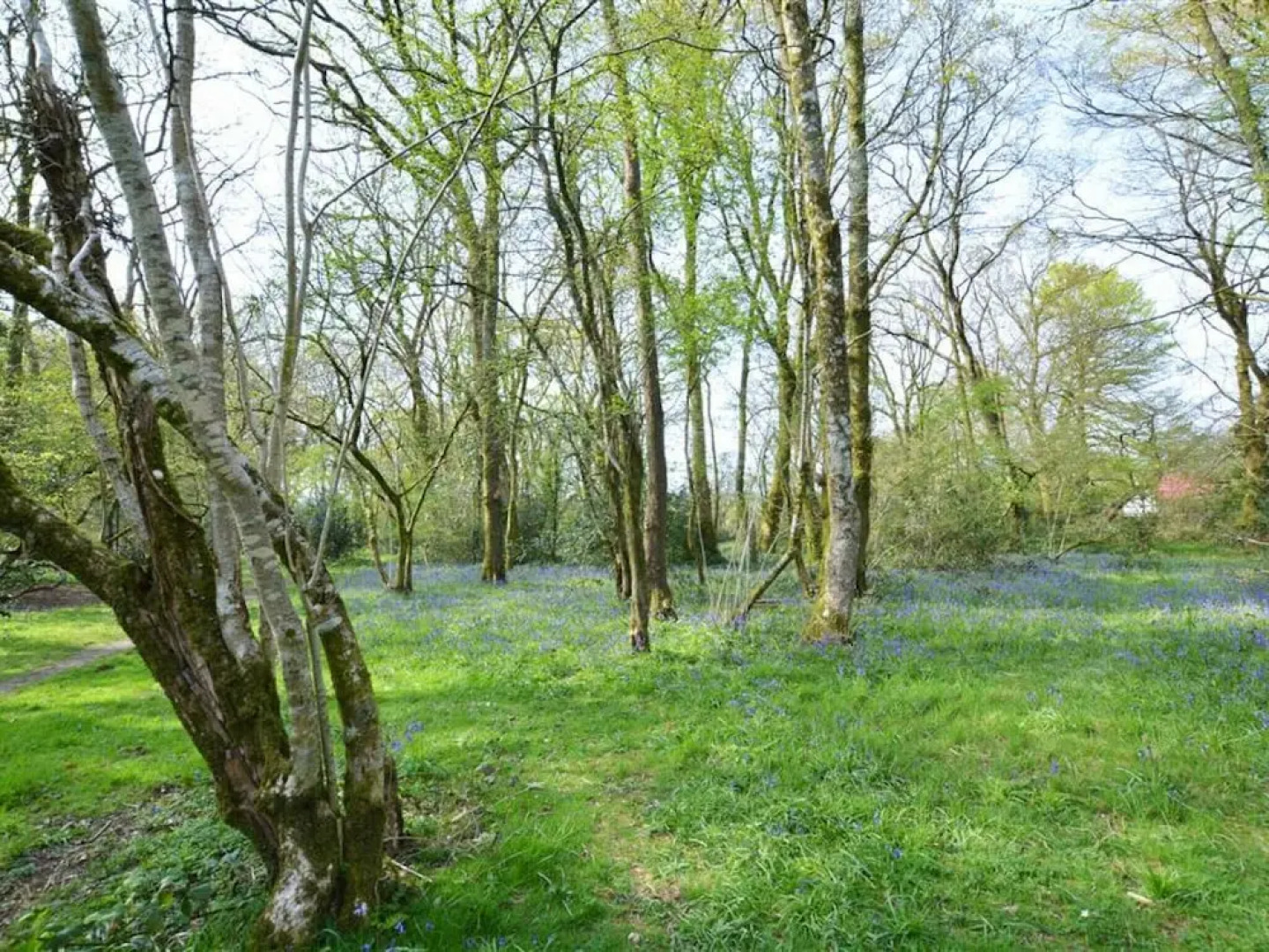 Quaint Holiday Home in Whitland With Garden