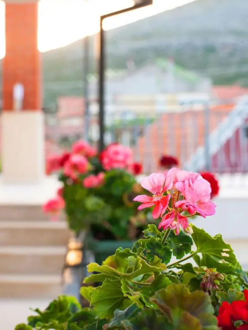 Apartments Lovori-Lorbe