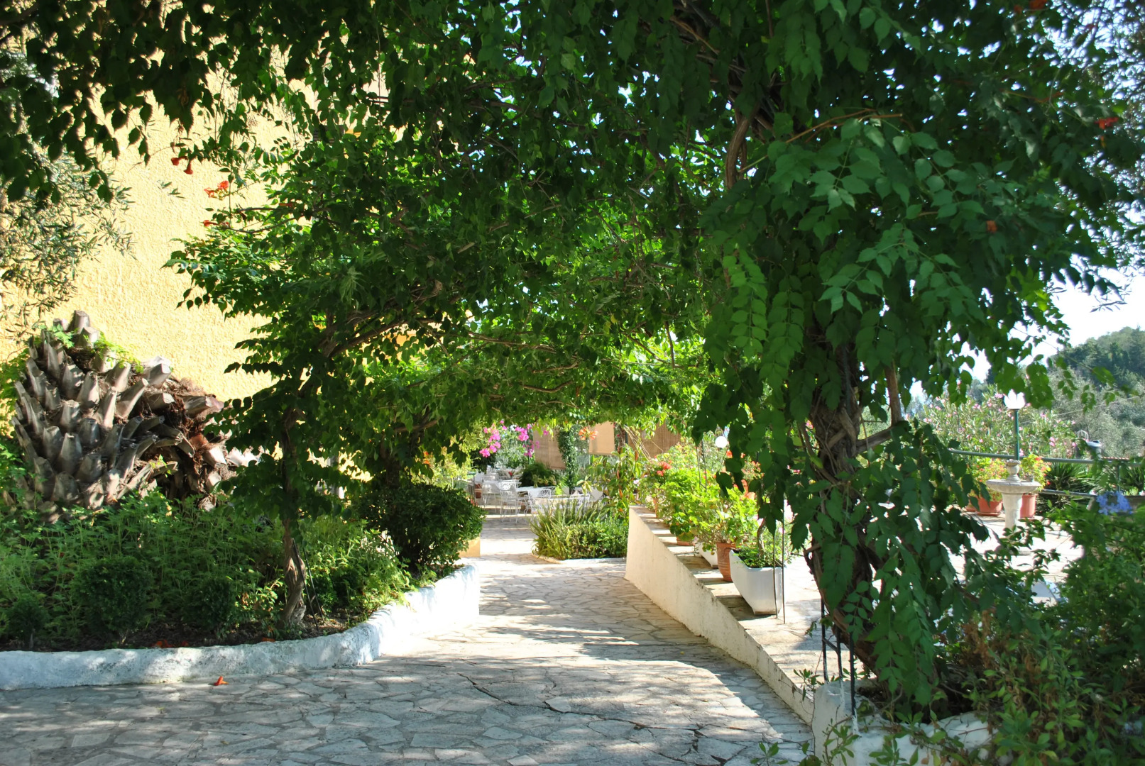 Hotel Helios Splendid