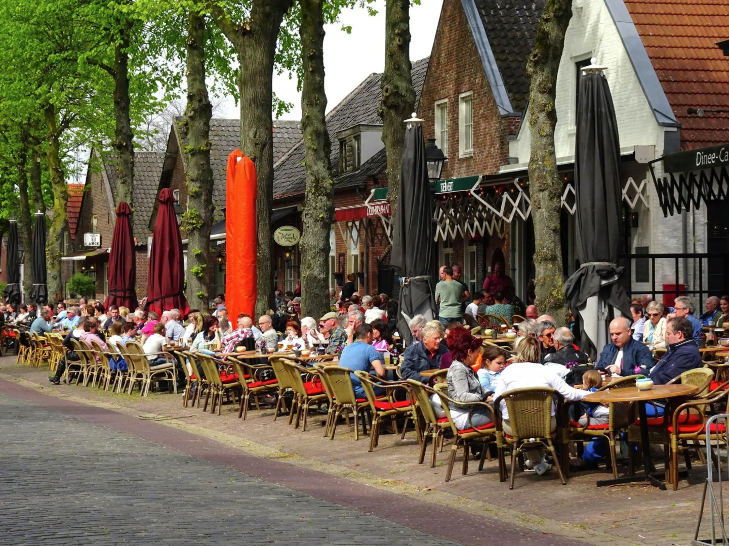 Spacious Holiday Home in Eersel with Open Fire