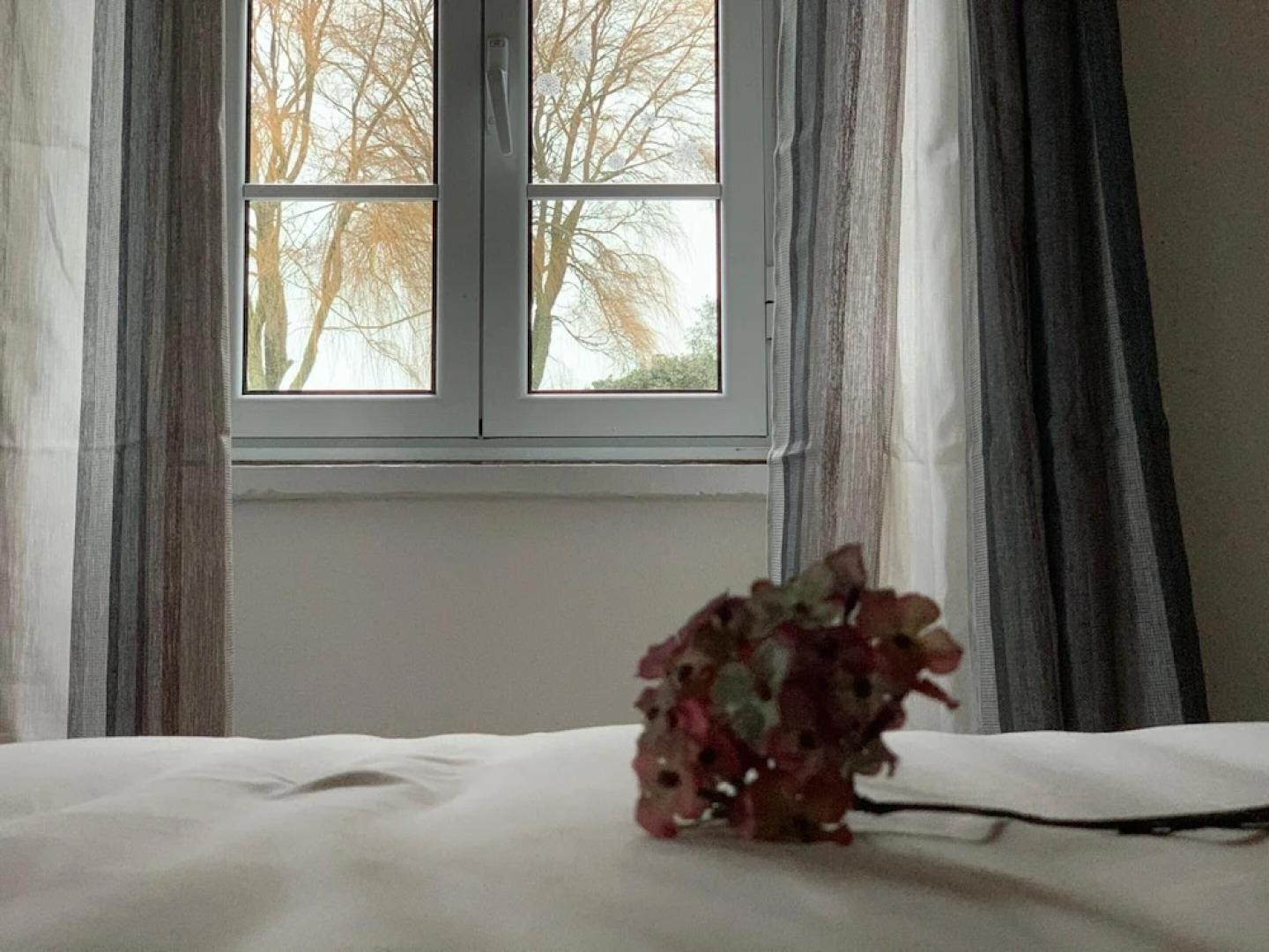 House With 3 Bedrooms in Ponta Delgada , With Wonderful sea View, Terrace and Wifi - 8 km From the Beach