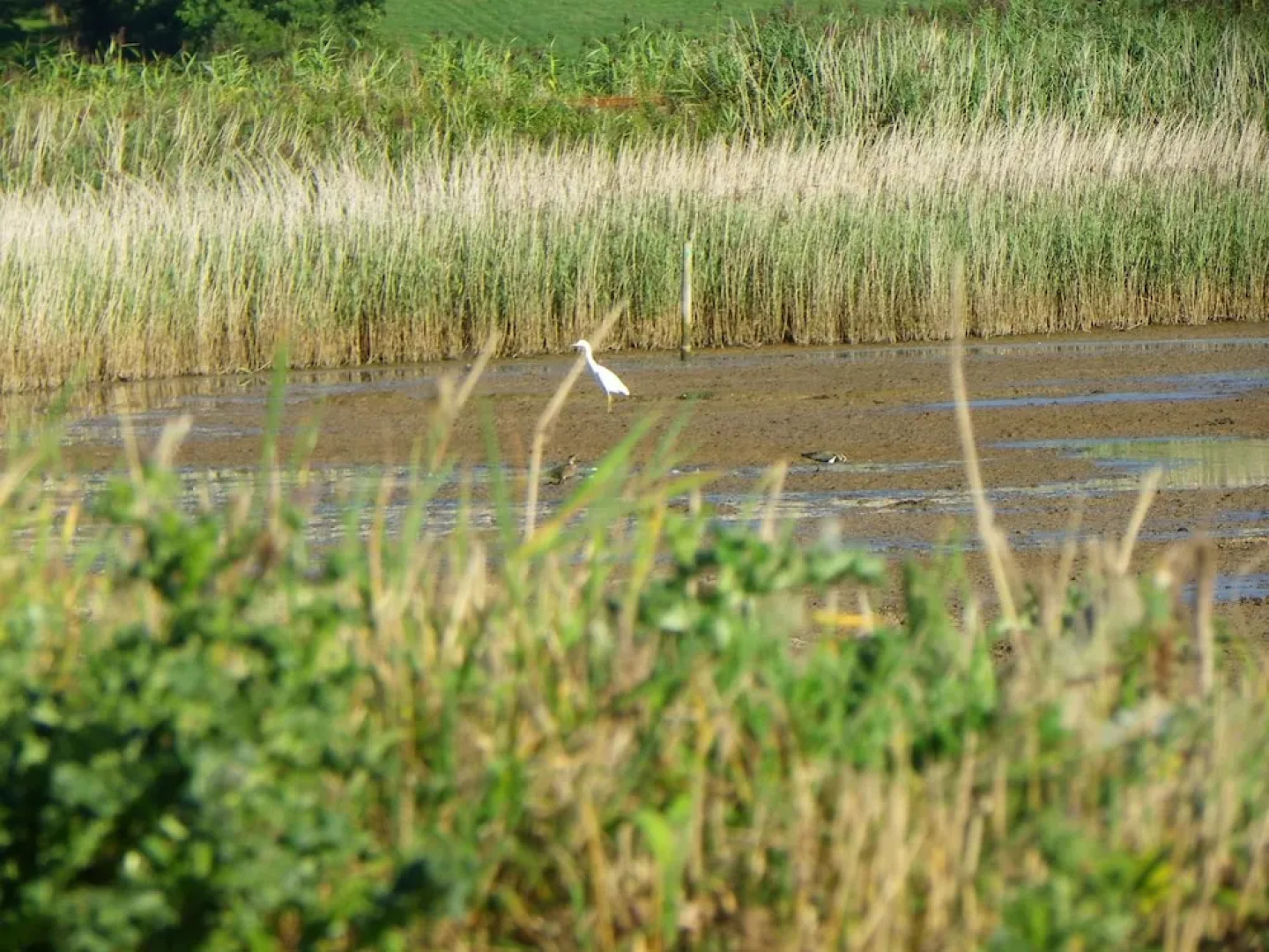 Yeoman's Acre Bed & Breakfast