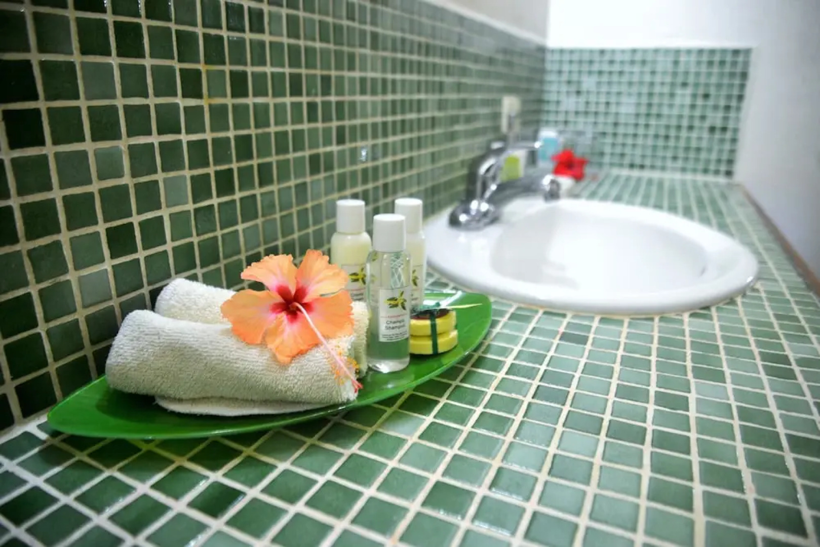 Pachamama Jungle River Lodge