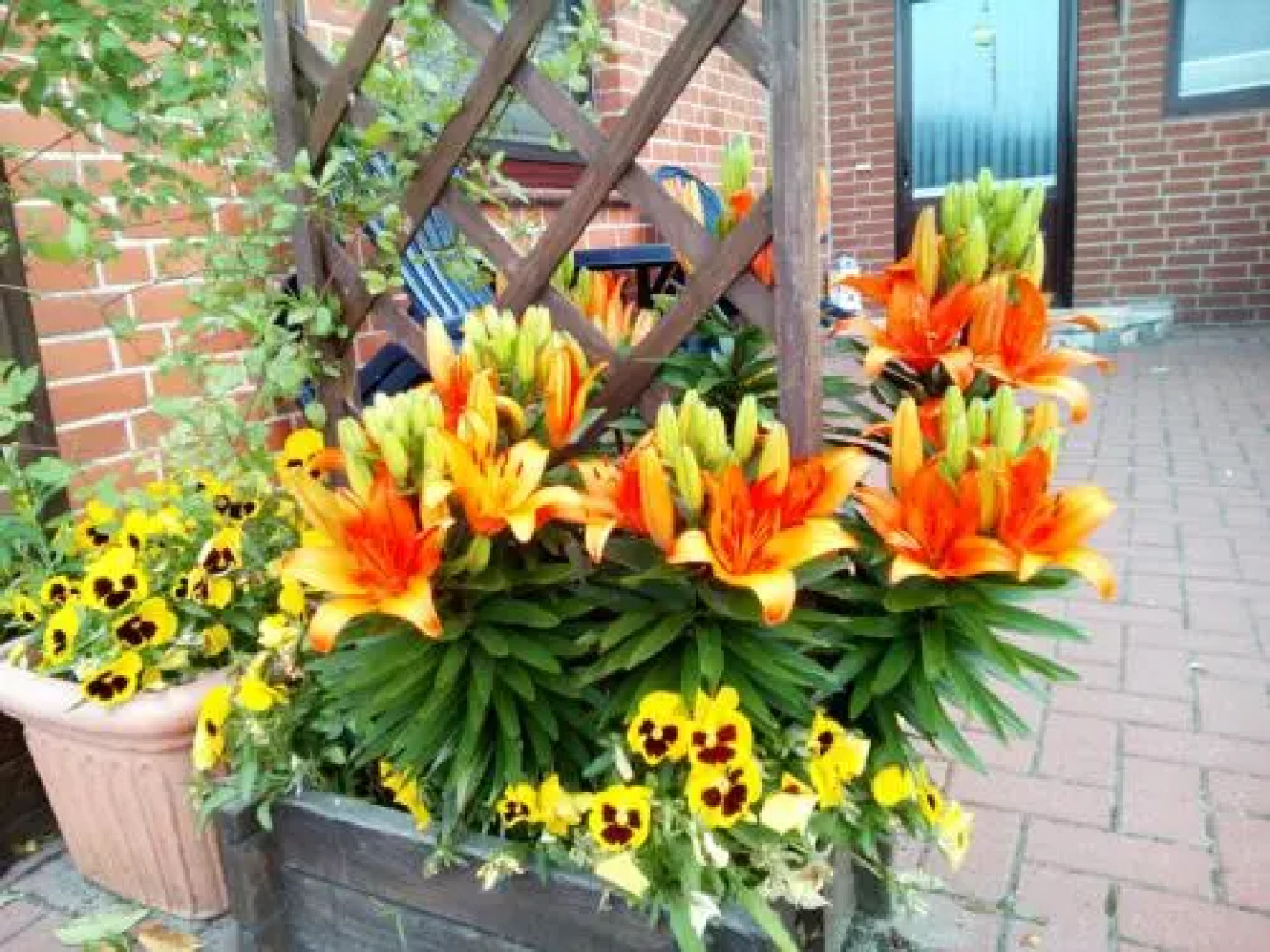 Ferienwohnung in Isenbüttel