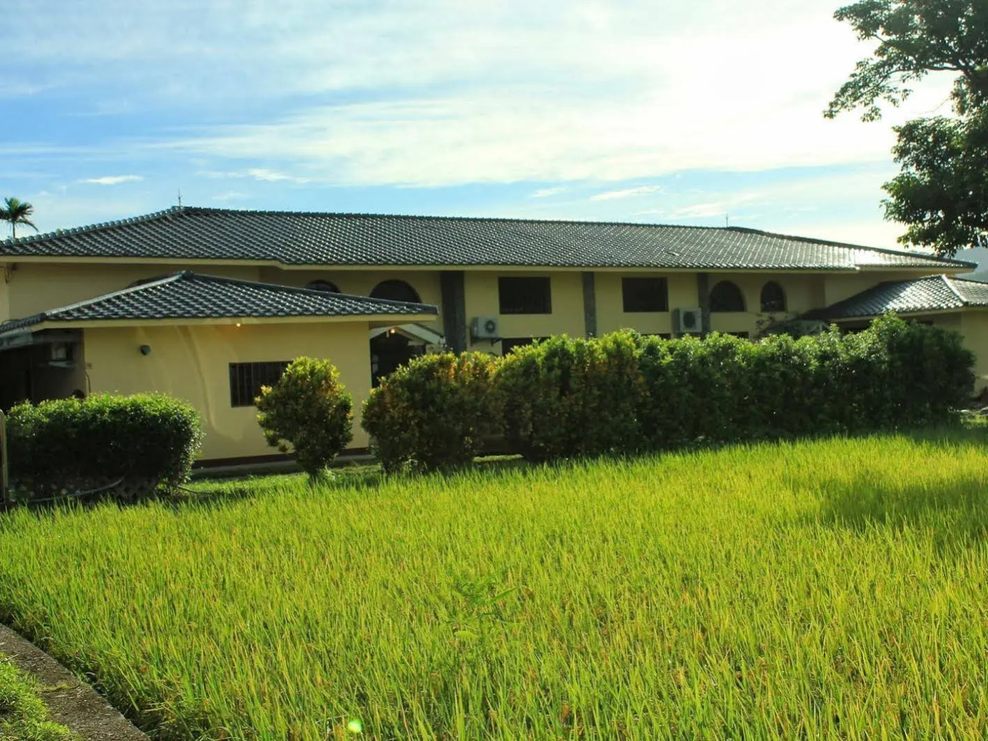 Frog and Pheasant Guesthouse