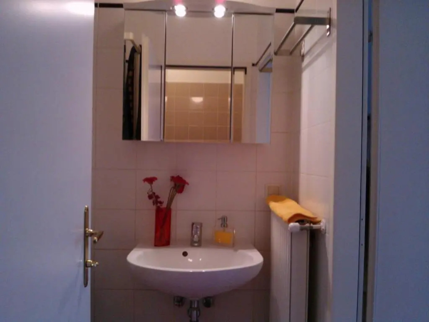 Gemütliche Wohnung nahe Zentrum