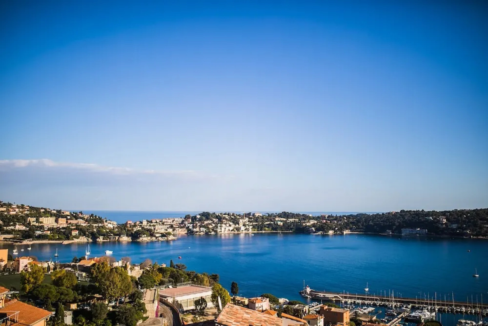 Les Marguerites AP3066