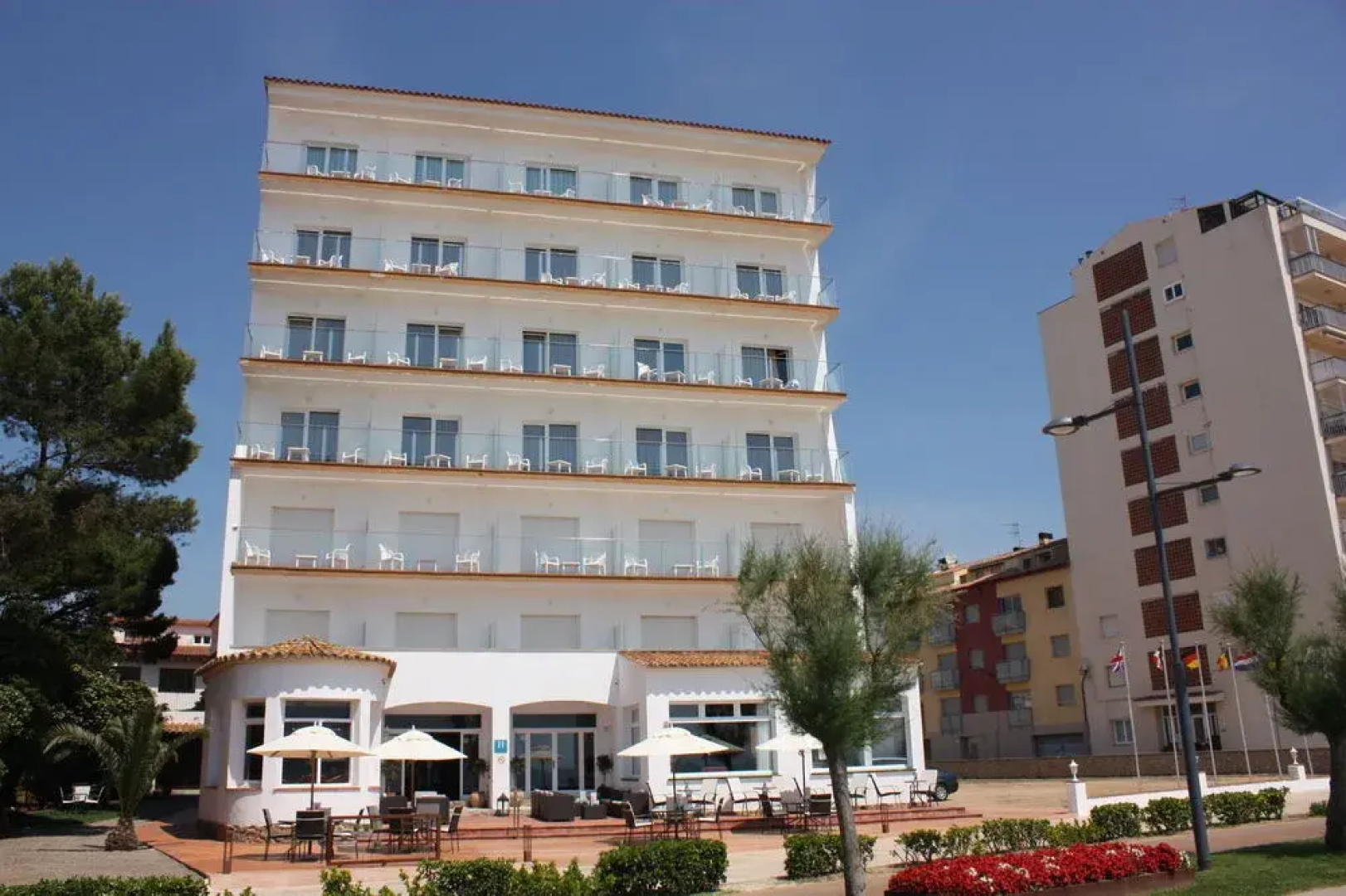 Rosa dels Vents