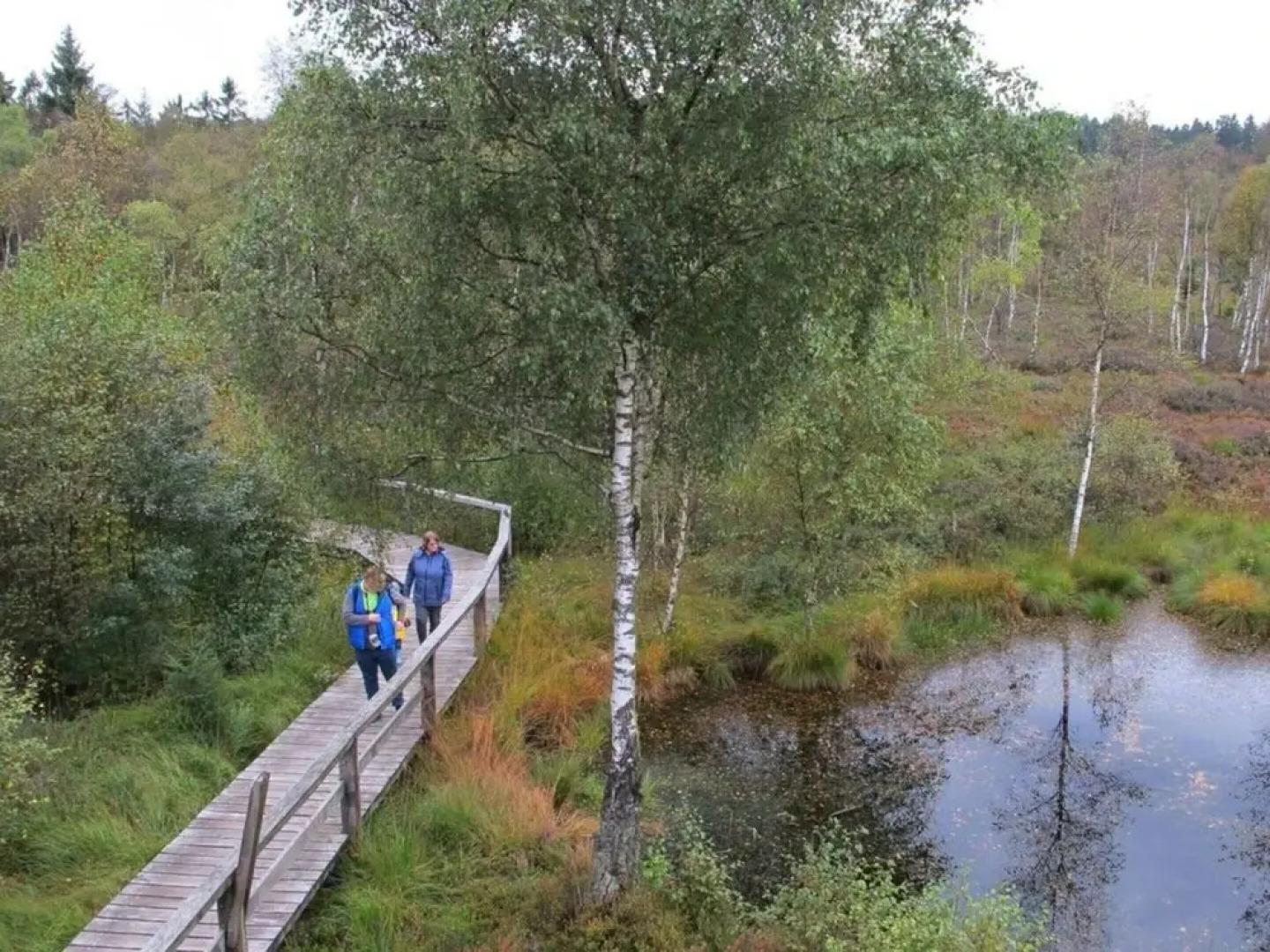 Fasse Comfortable Holiday Residence