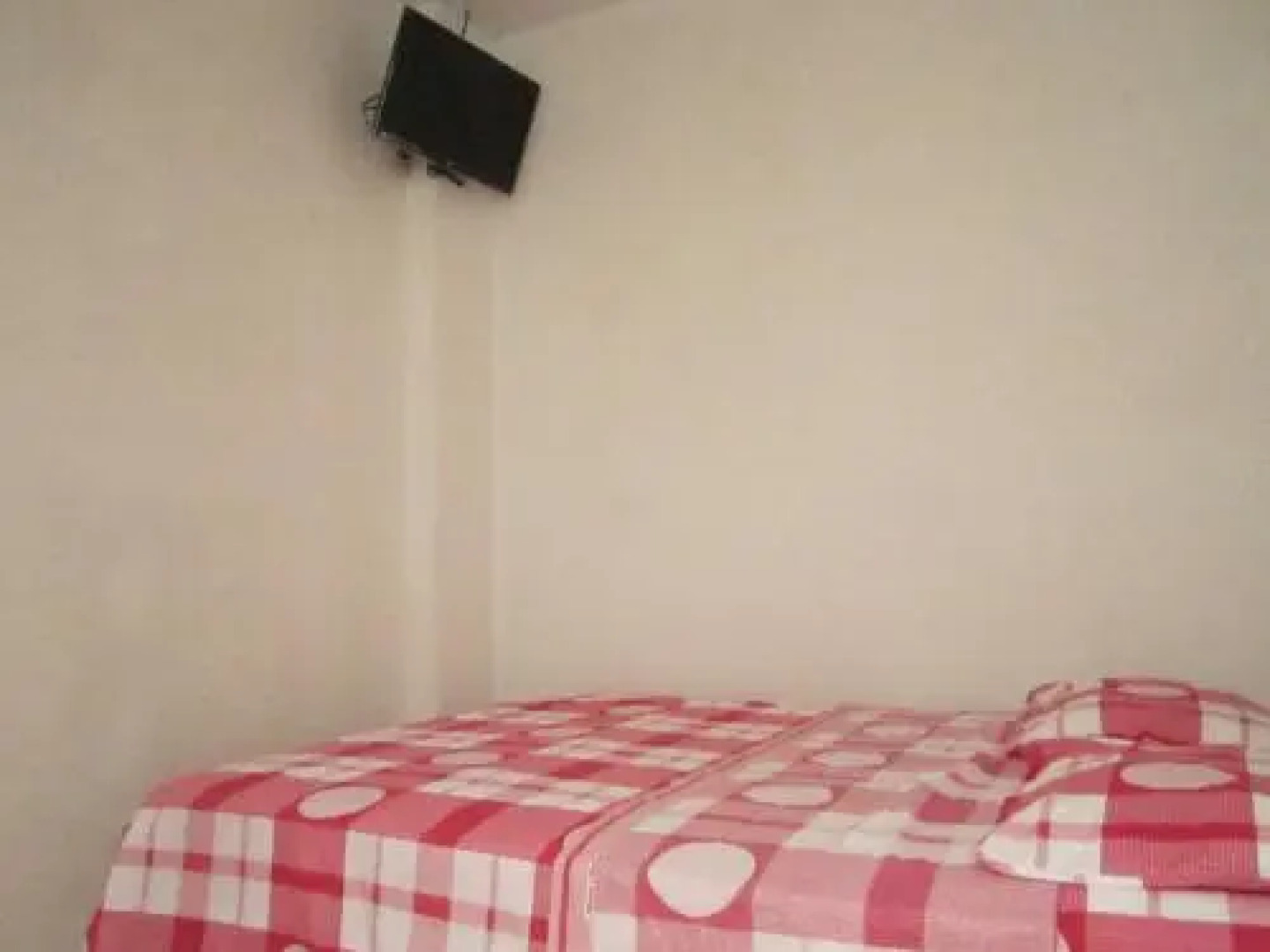 Backpacker The Adventurer