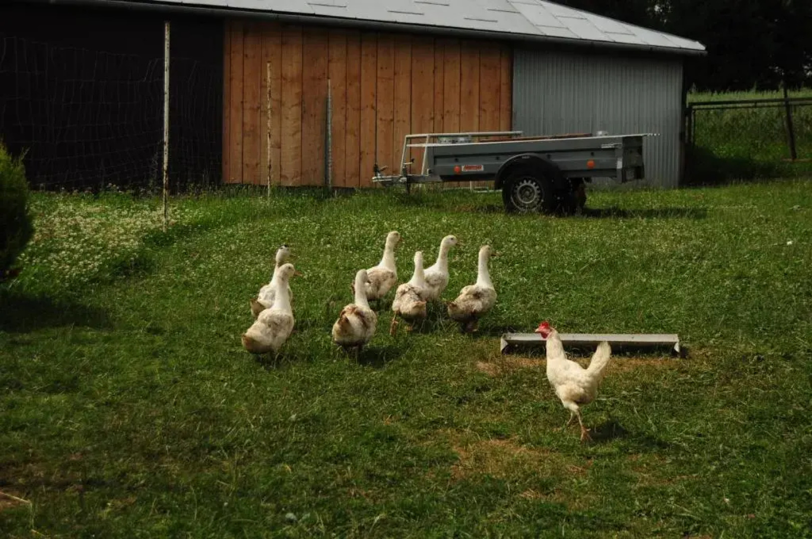 Wczasy od Maluszka do Staruszka