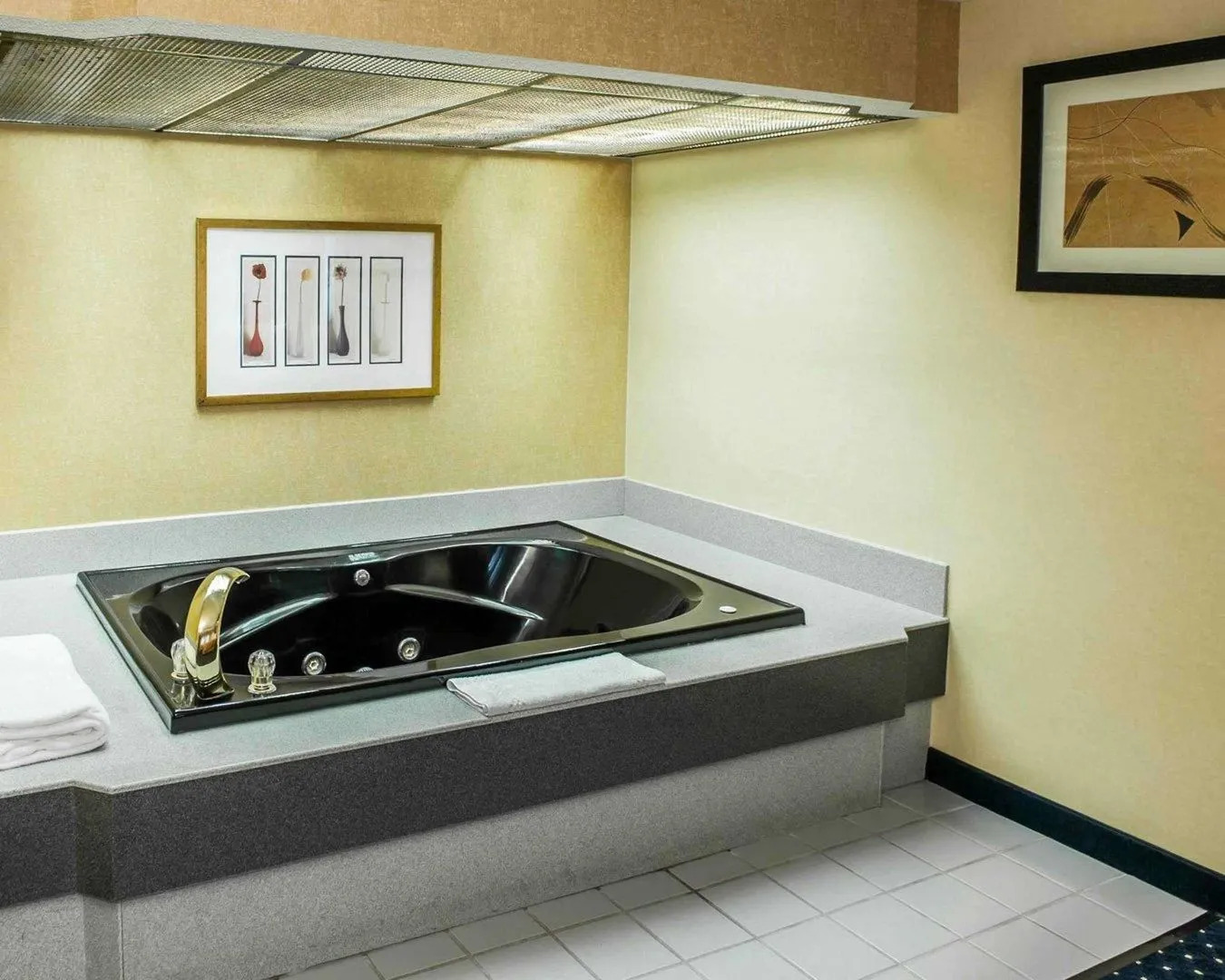 Quality Inn & Suites Goshen