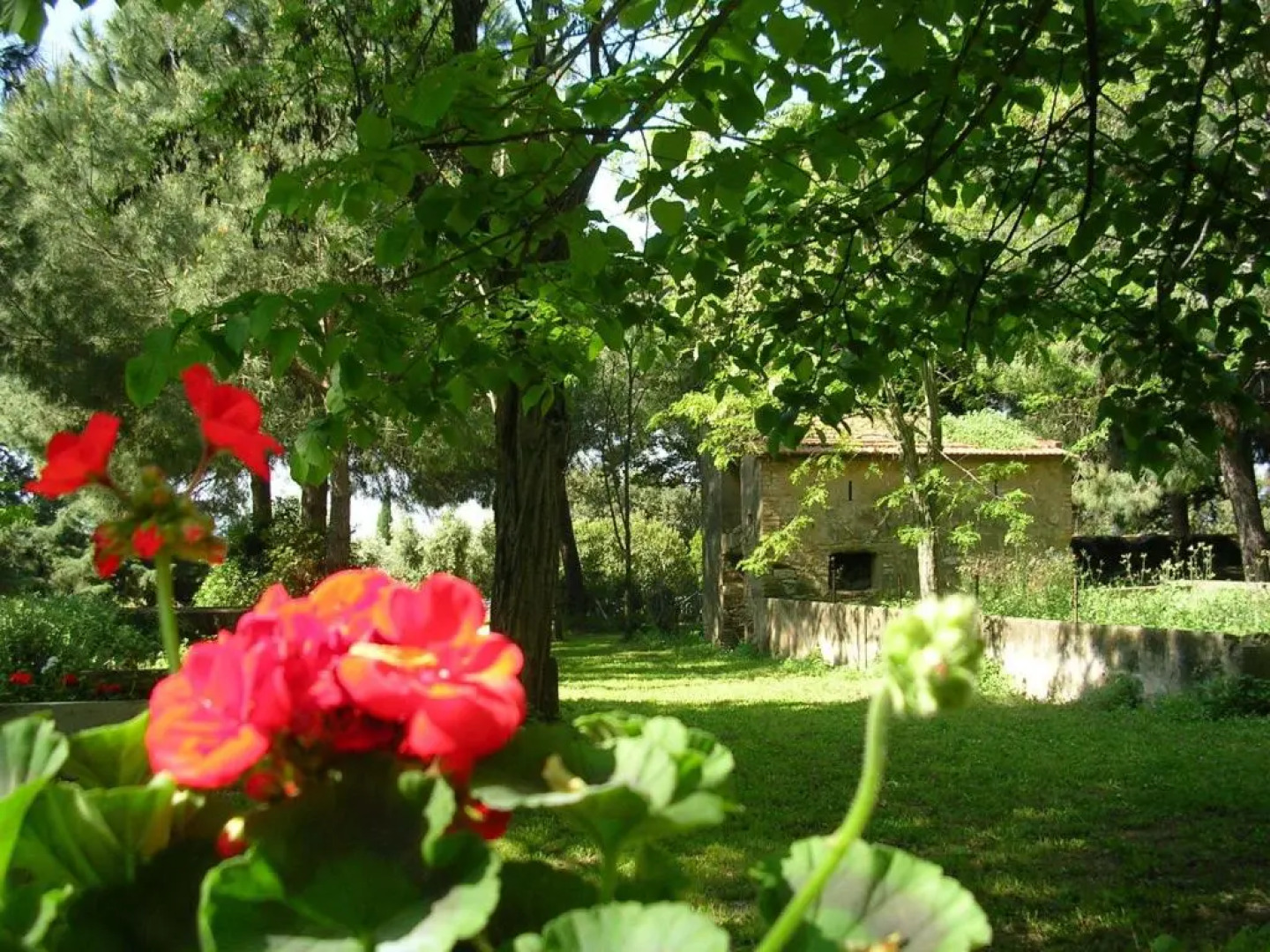 Agriturismo Il Piaggione