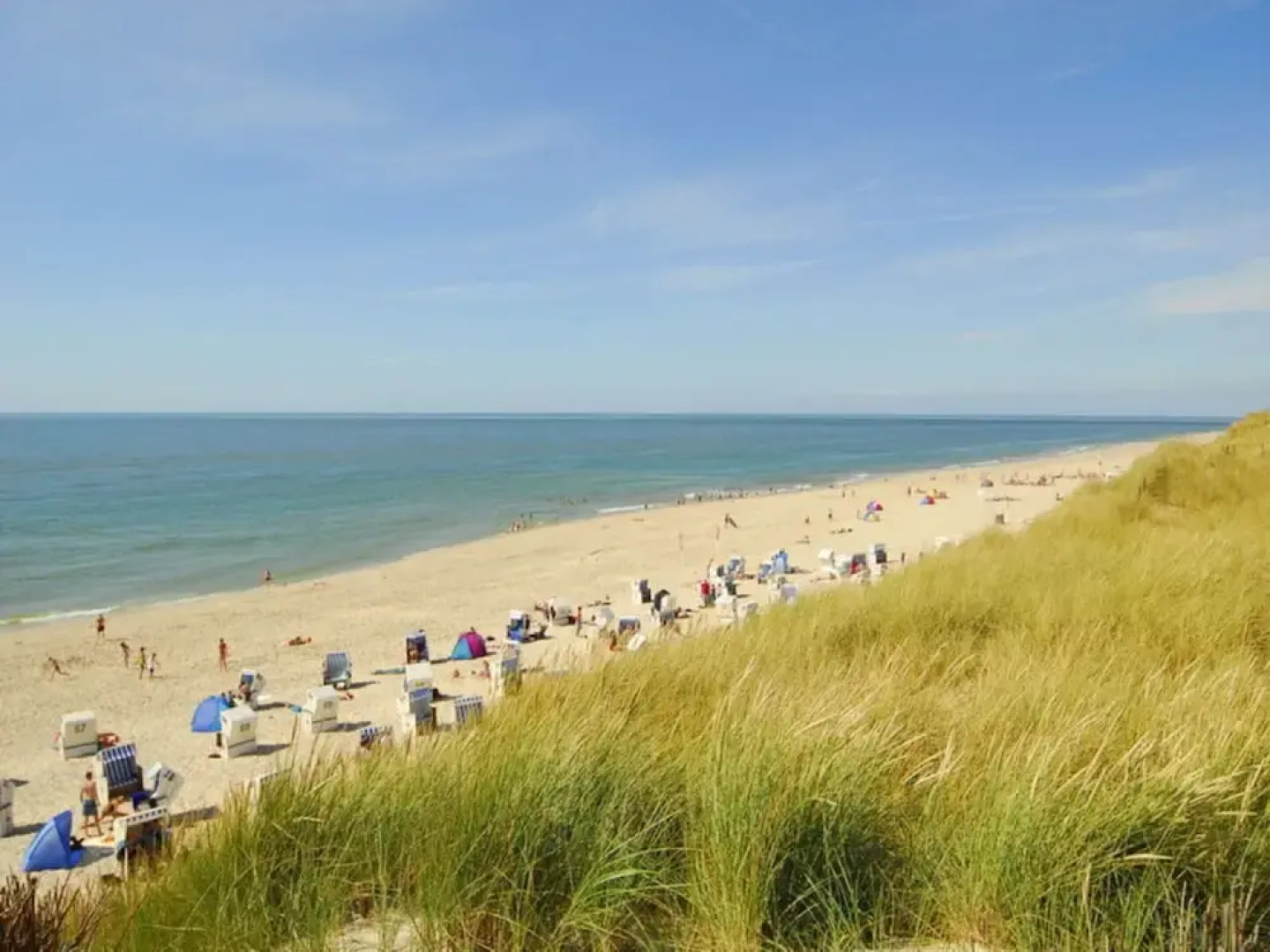 Mellhorn 41 Modern Retreat