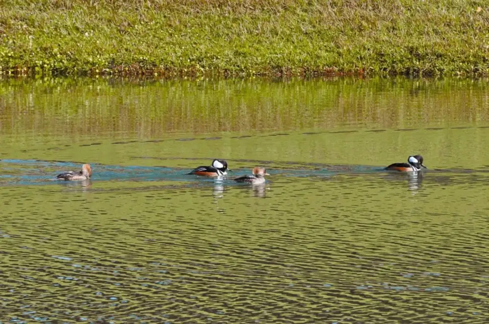 Emerald Island Resort-2676