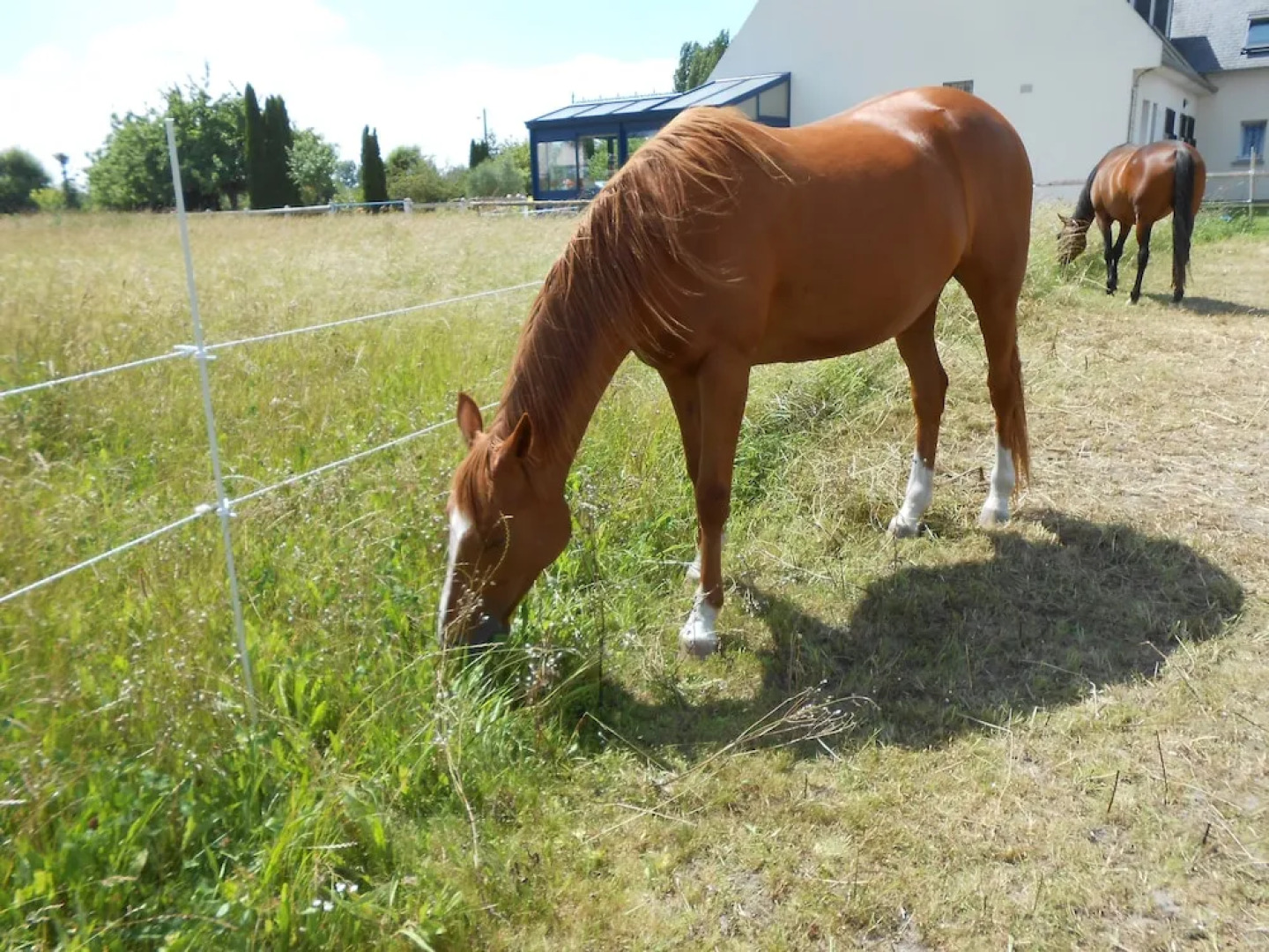 Chambres d'hôtes Le Petit Châtelet