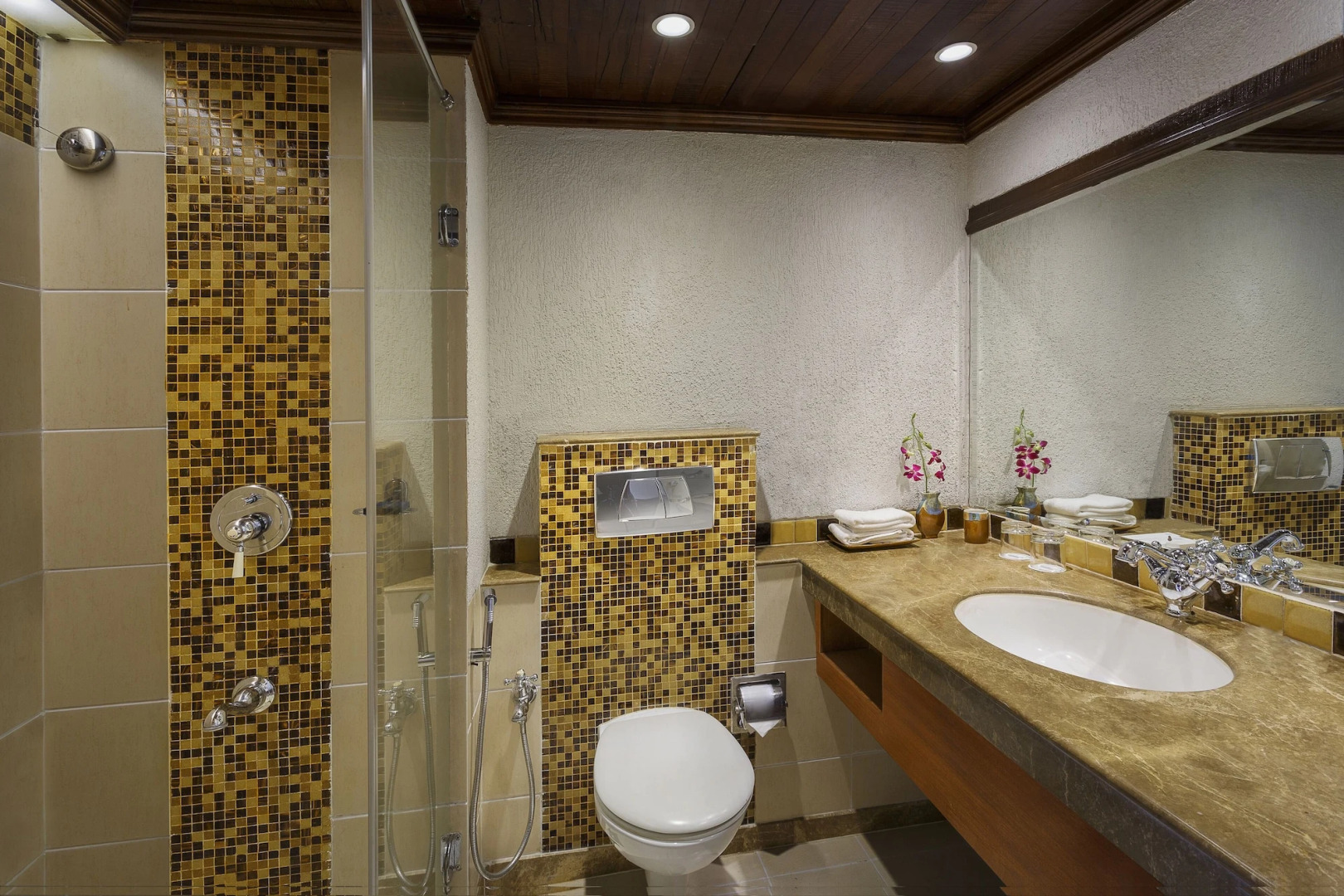 Lazy Lagoon, Baga A Lemon Tree Resort