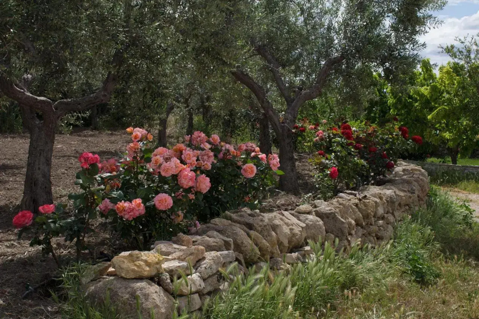 Trullo del Cavaliere
