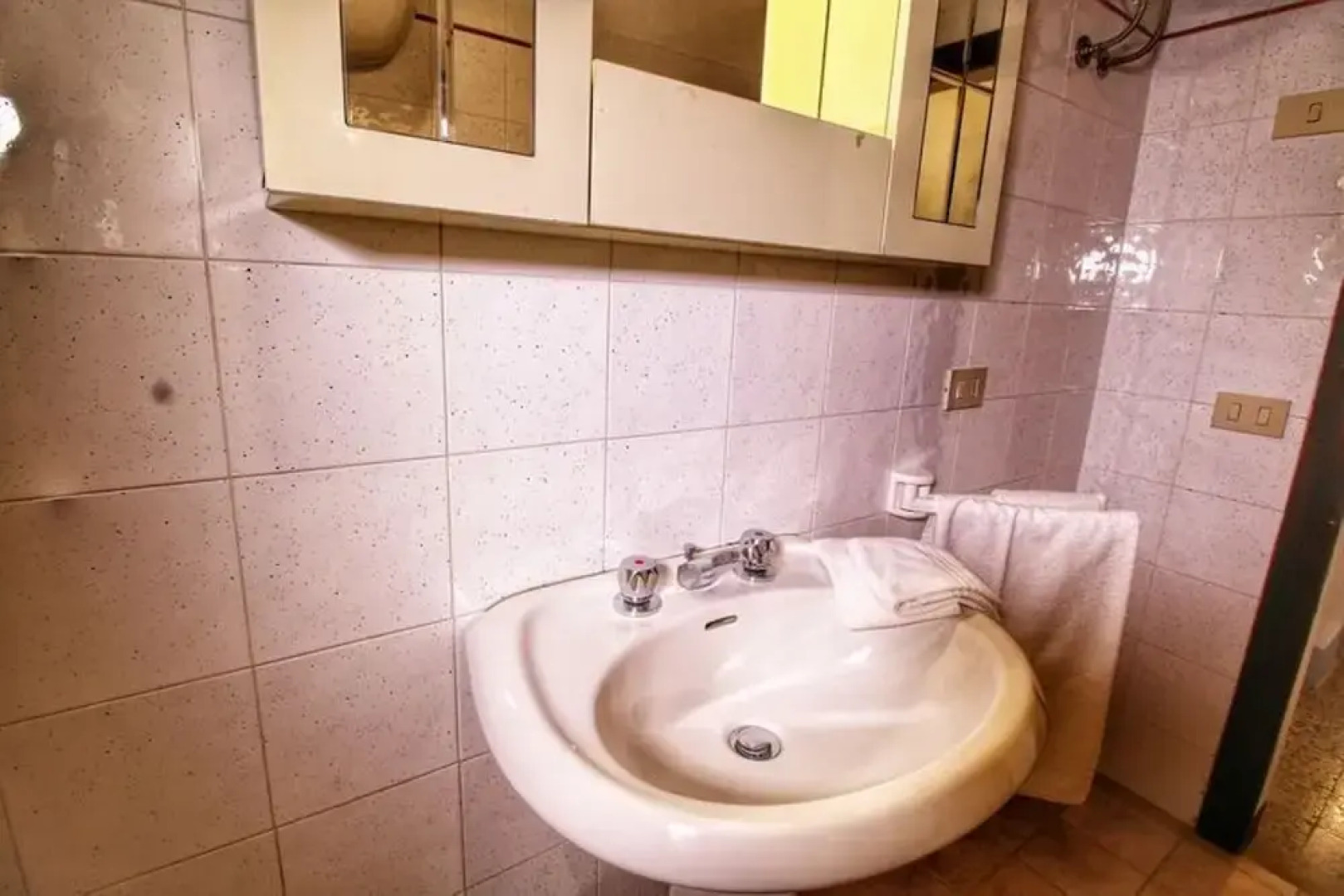 Bellavista farm of Quercini Maurizio