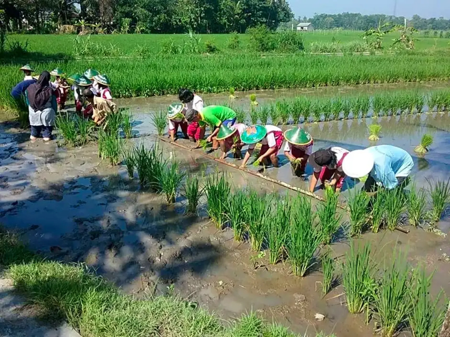 Sardi Homestay by ZUZU