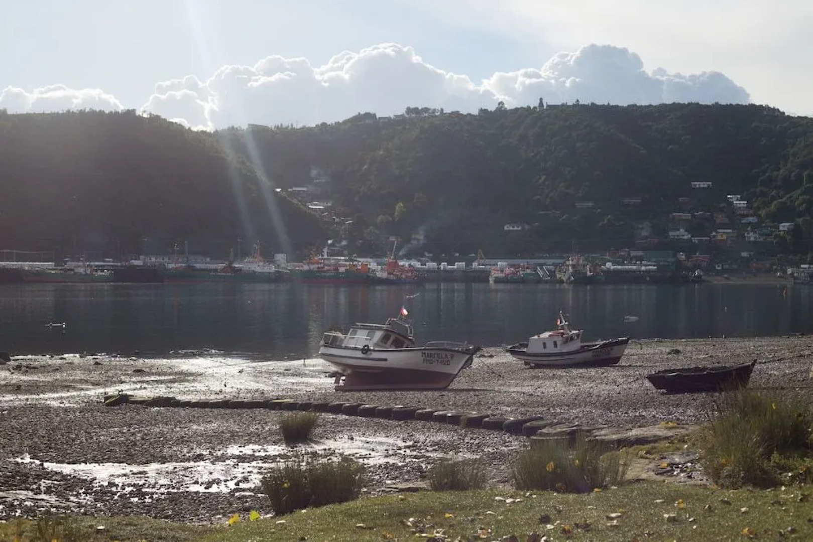 Punta Piedras Lodge & Marina