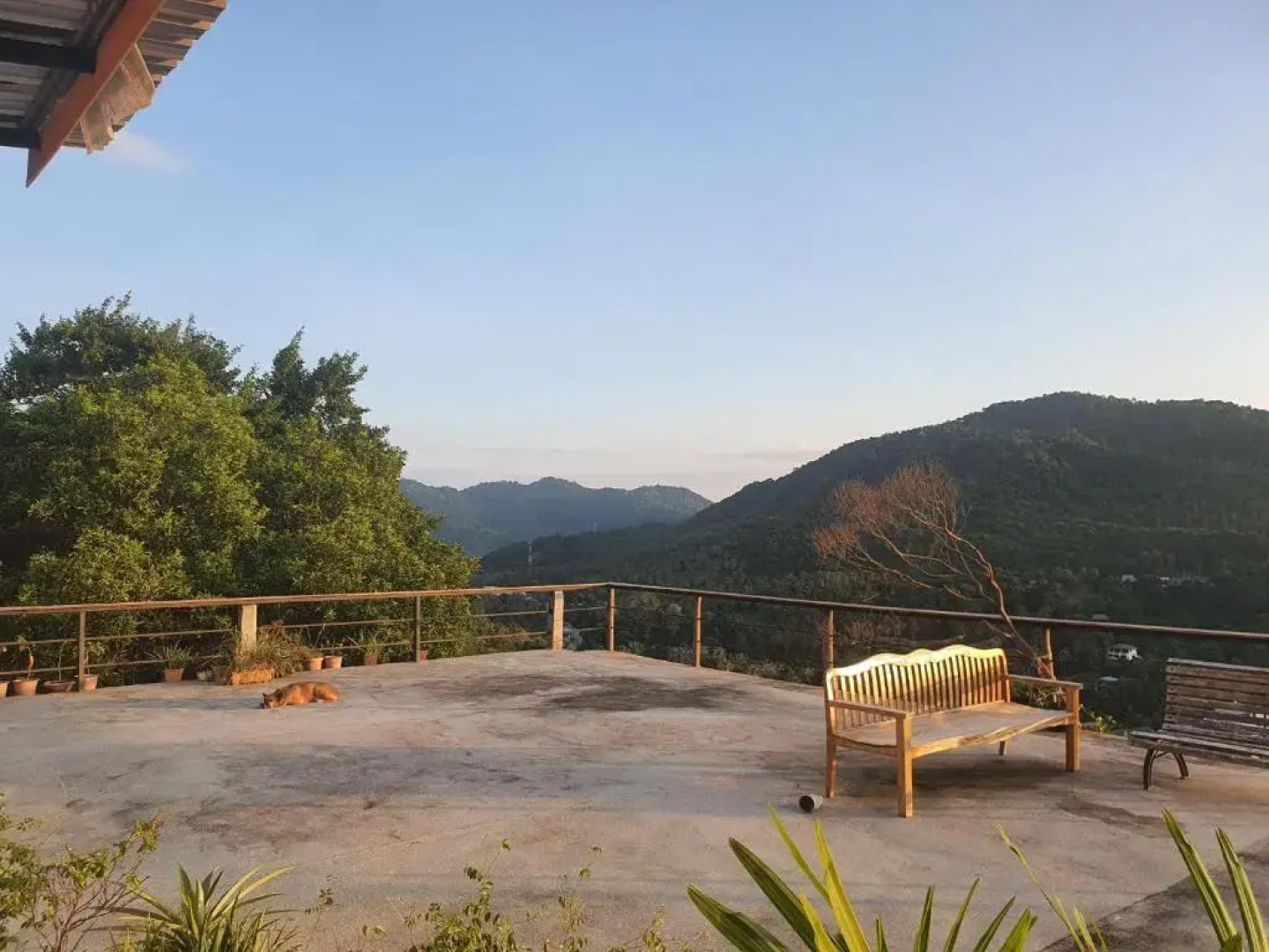 Deishaview Jungle Hostel