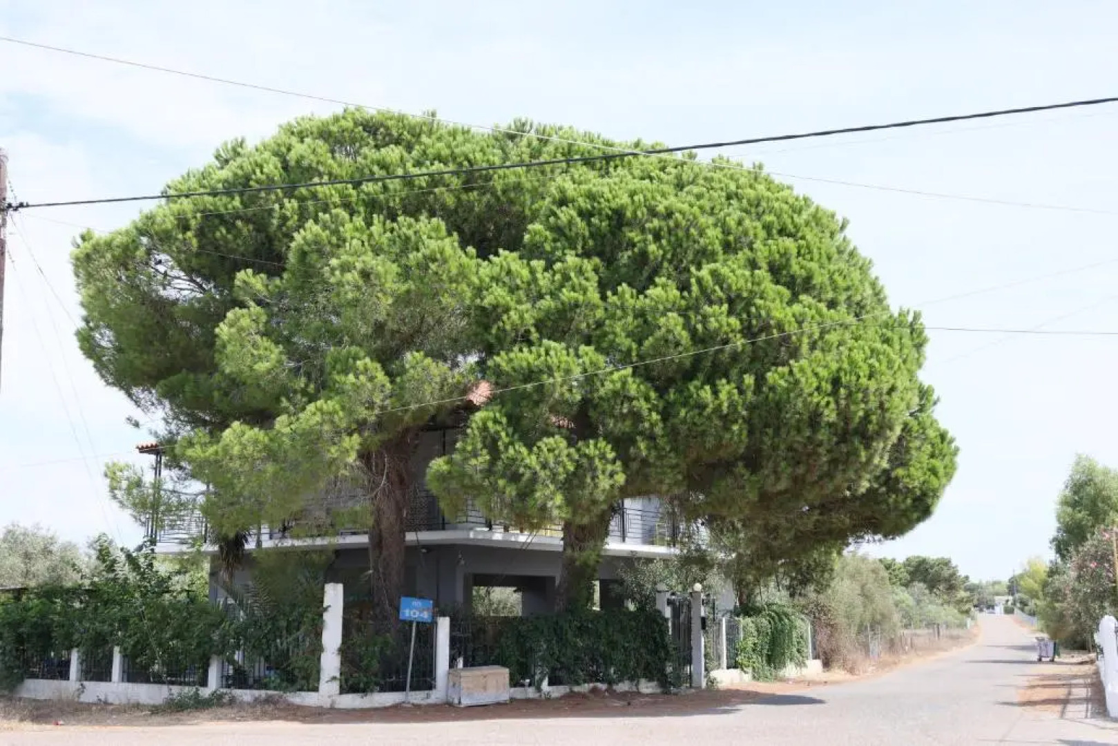 Captain's house katakolo