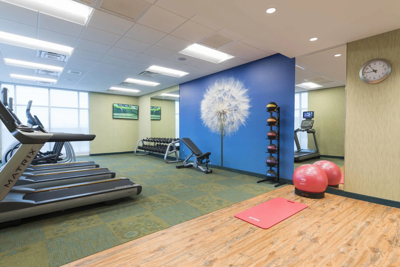 SpringHill Suites Chicago Southeast/Munster IN