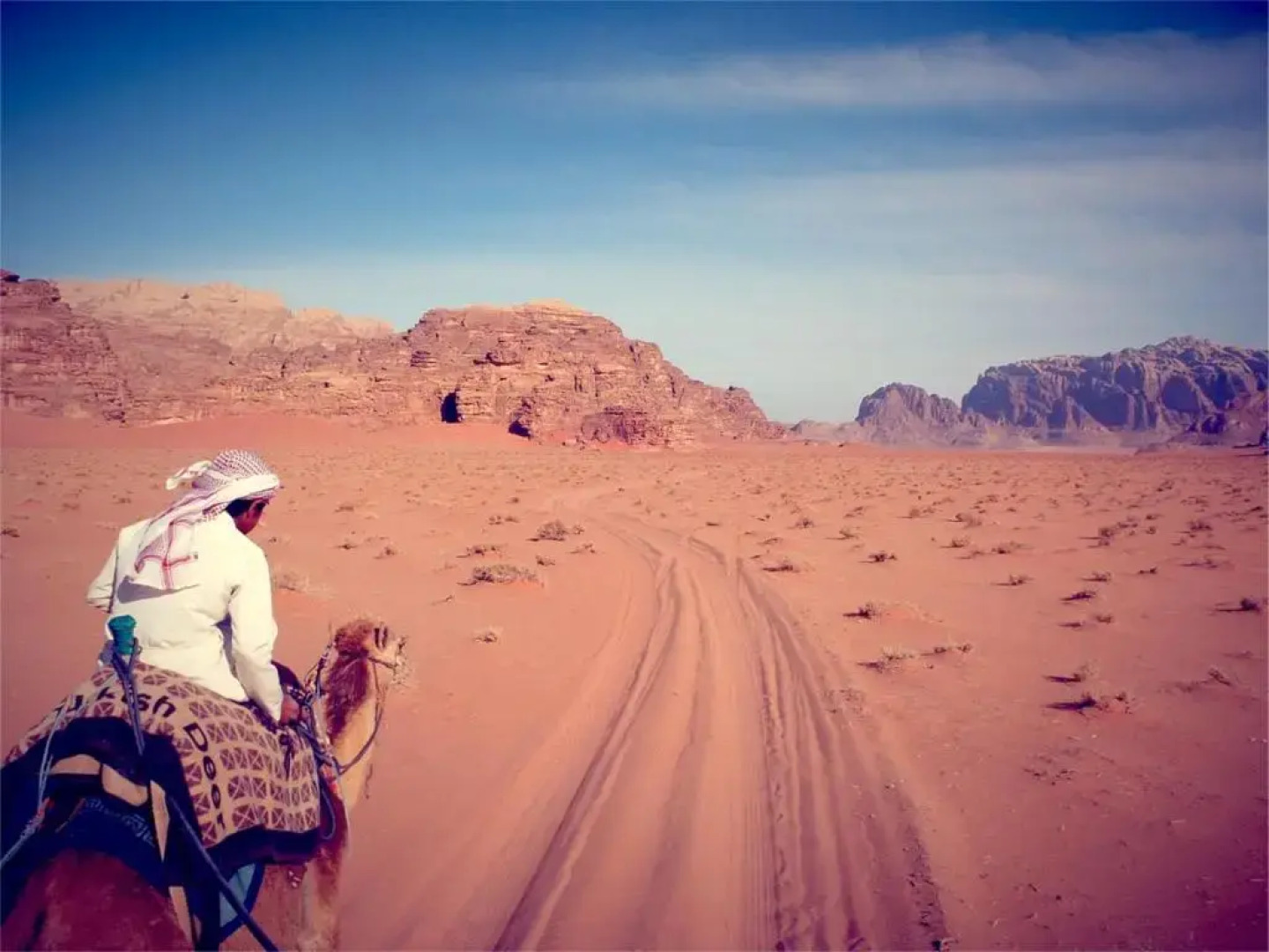 Wadi Rum Stars Hostel