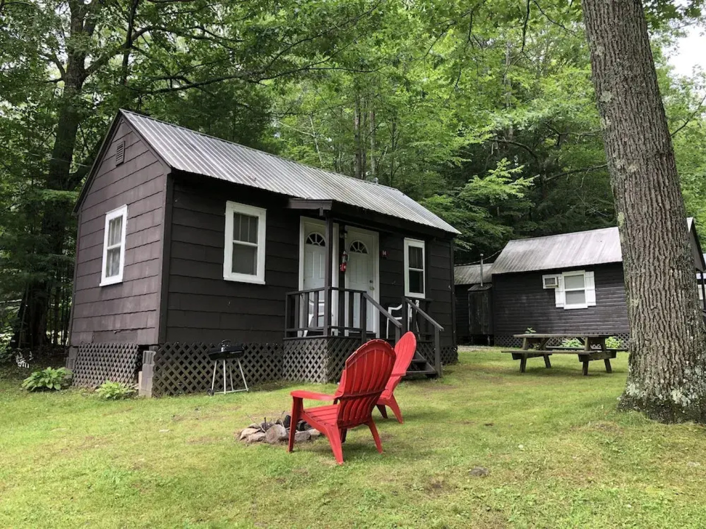 Lake George Bears Den