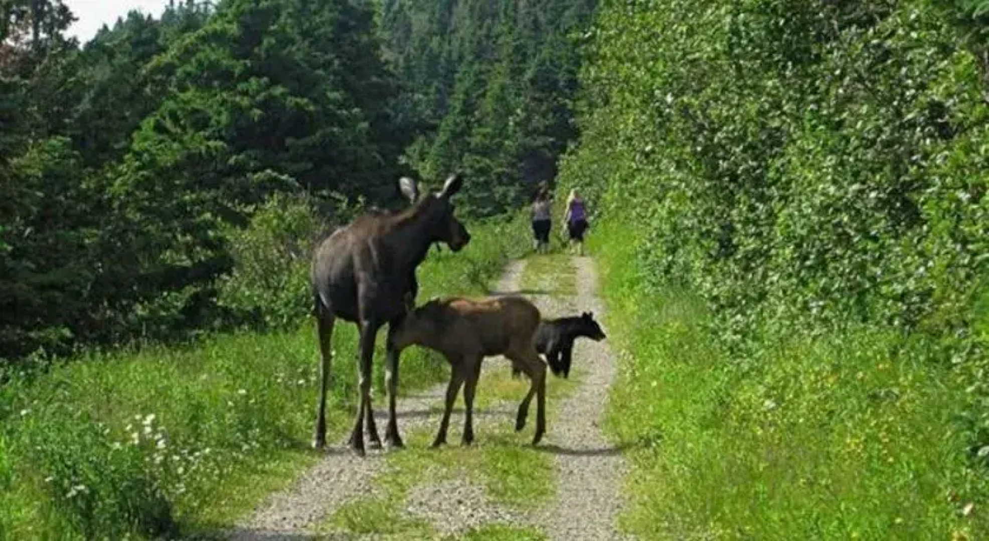 Gite au Pied du Phare
