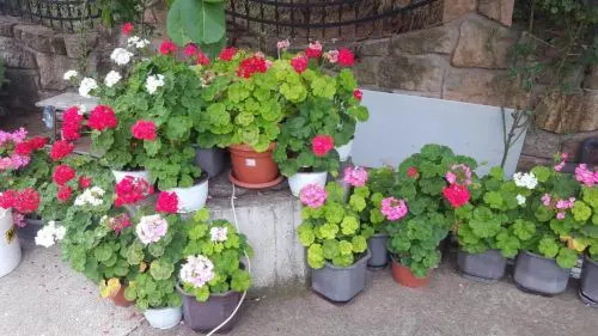 Satelit Hotel-kumanovo