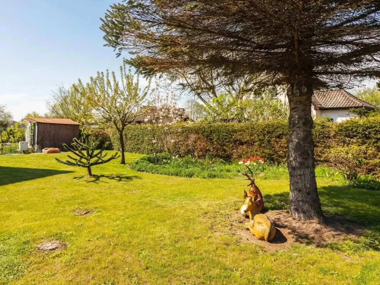 Relaxed Countryside Comfort