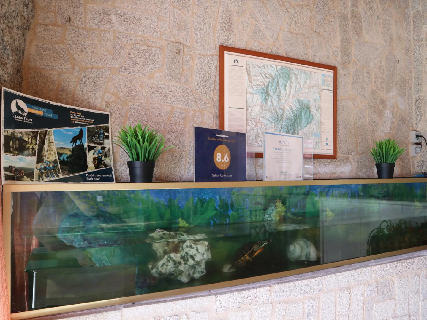 Cantinho das Oliveiras