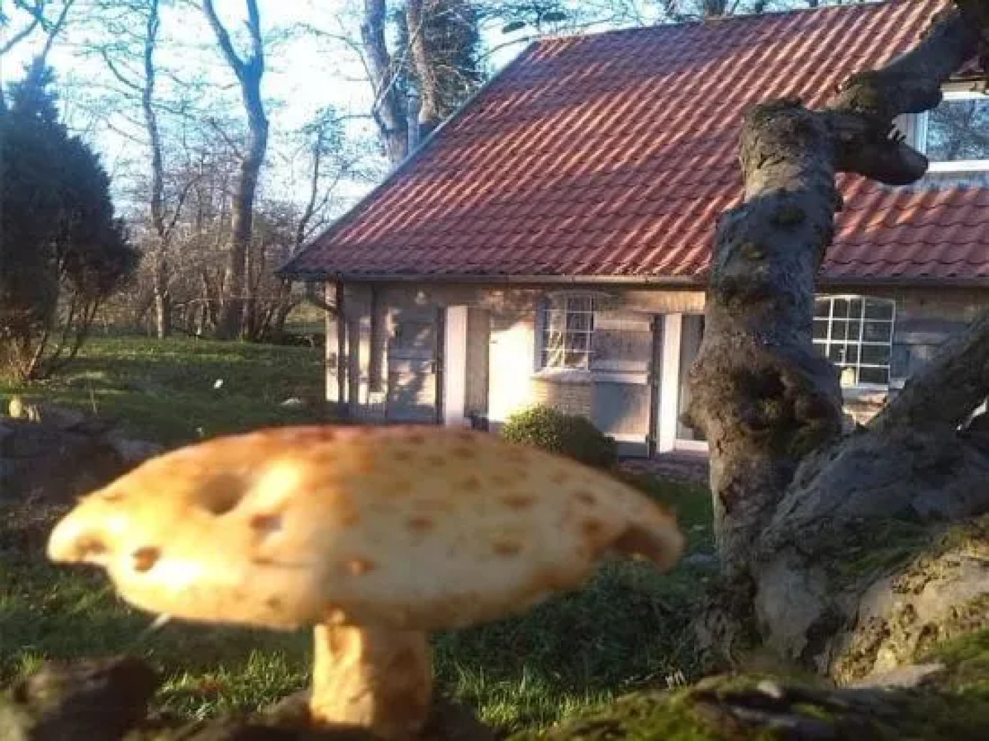 Wassermühle Stenten