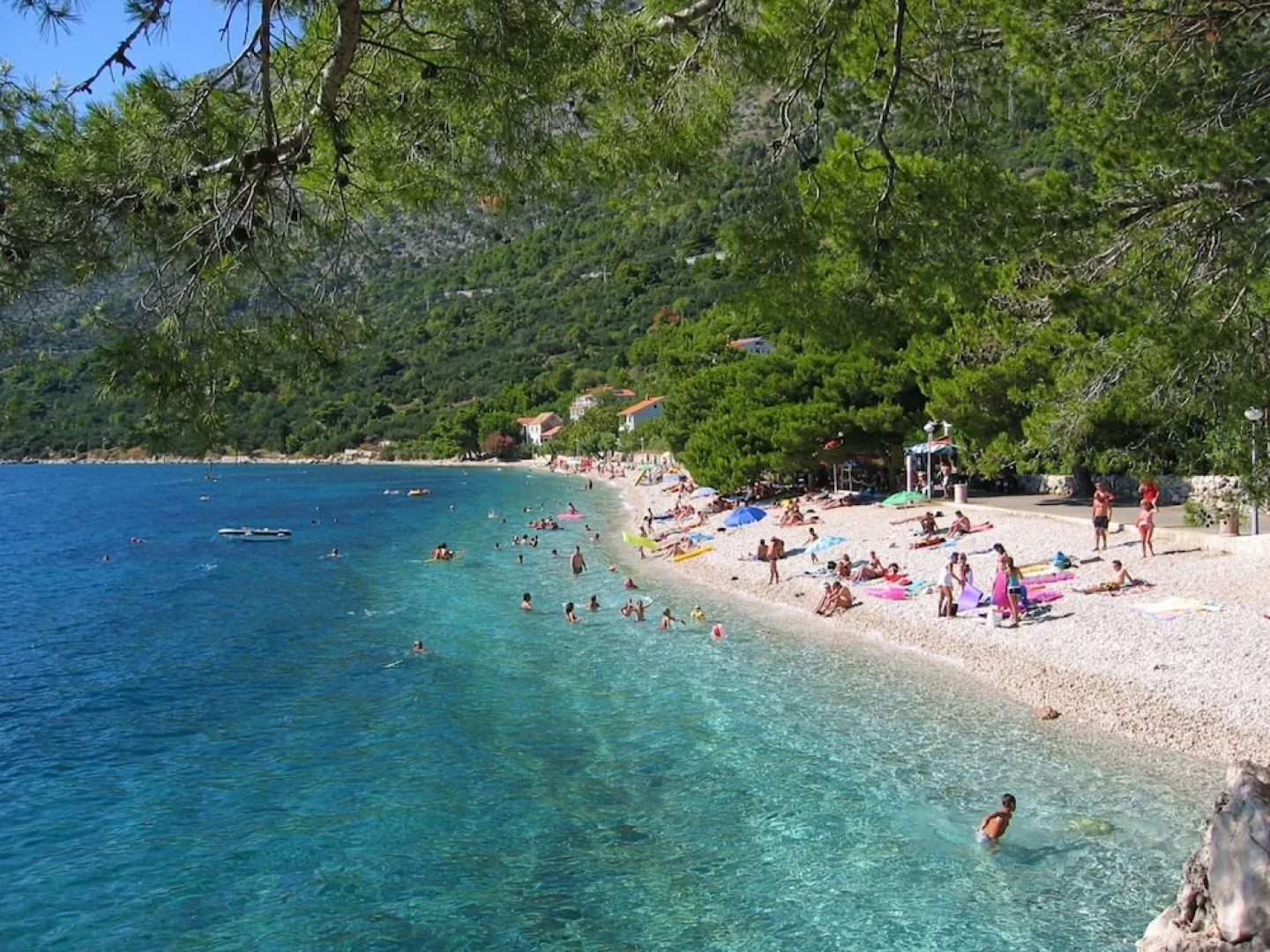 Apartments Reljic A1