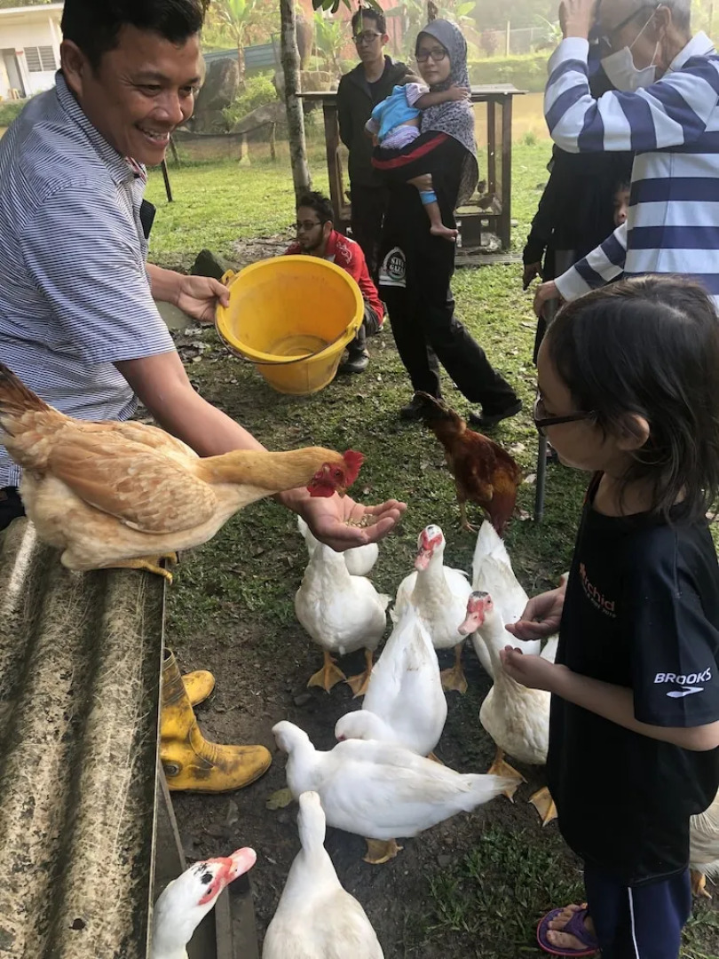 Tokwan's Agro Village