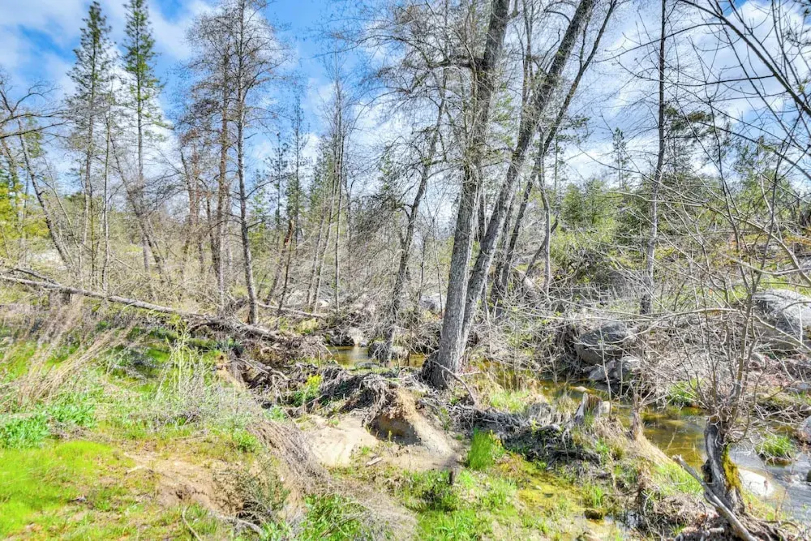 Waterfront Mariposa Hideaway: Hot Tub & Mtn Views!