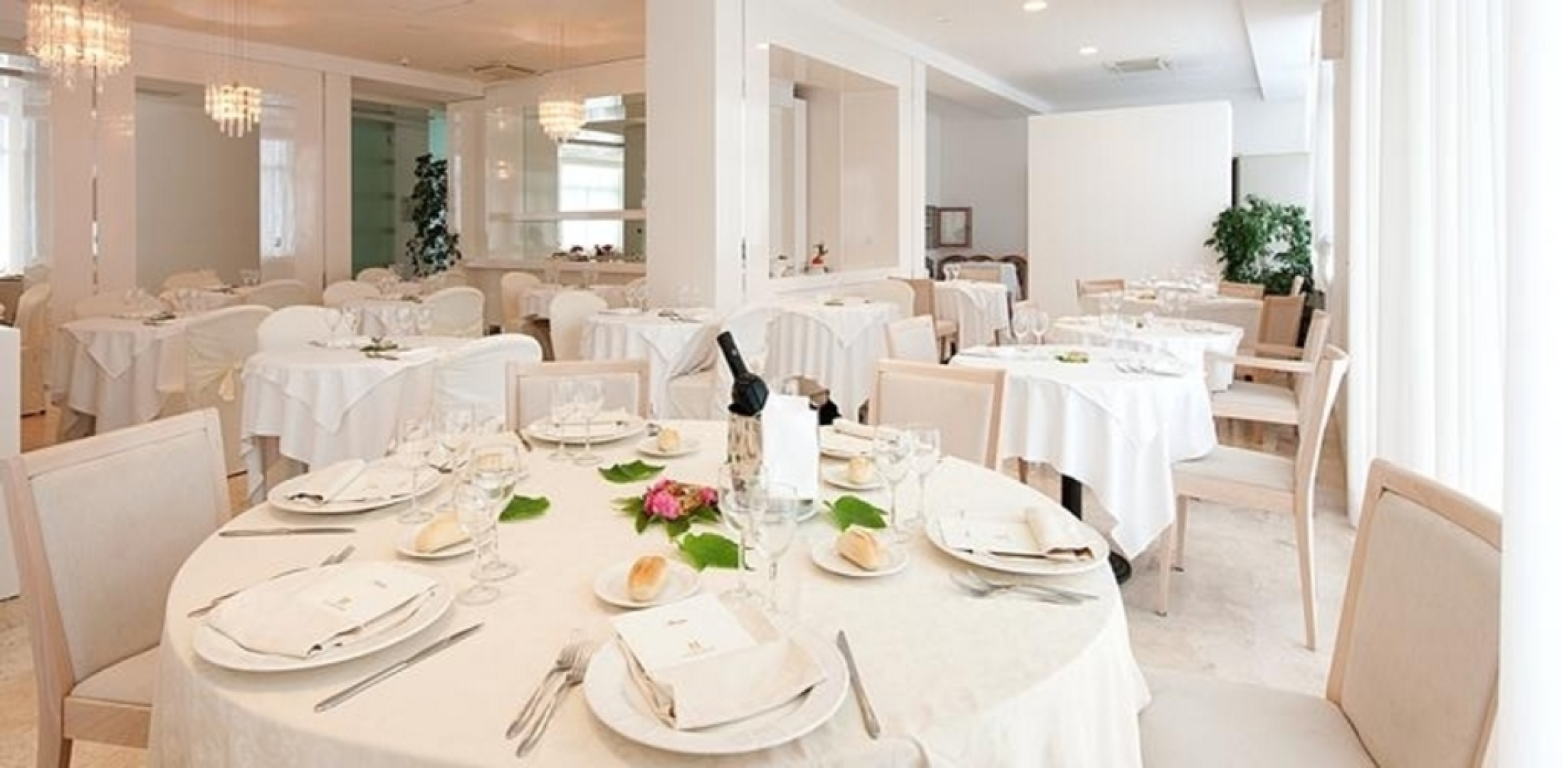 Hotel Excelsior