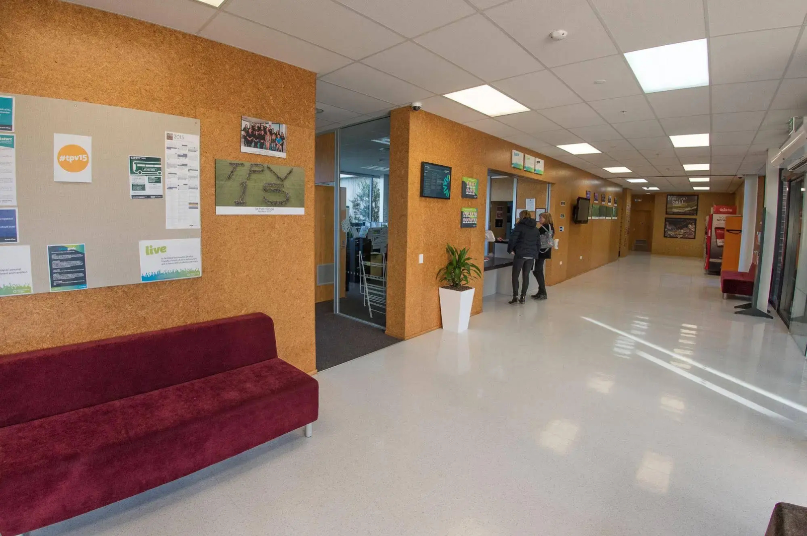 Te Puni Accommodation