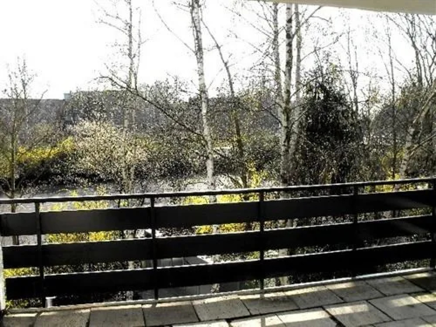 Ferienwohnungen Goman in Bergheim