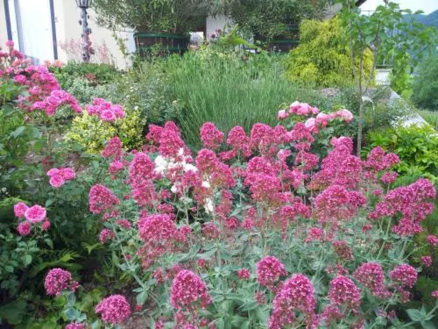 Ferienweingut-Liebfried